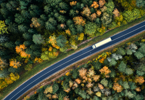 a train on a track surrounded by trees