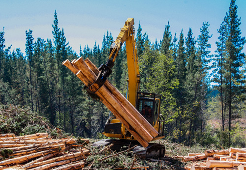 a large yellow machine in a forest